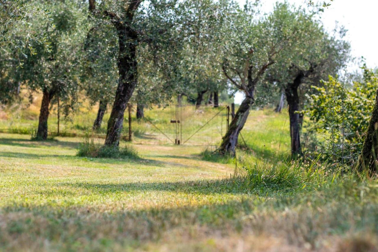 Appartamento Casa Mandello Salò Esterno foto